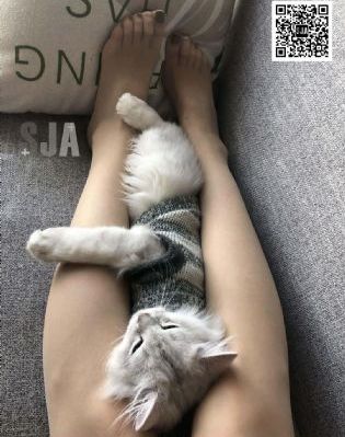 鸭王 电影_4K高清视频观看